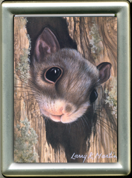 Night Eyes  Flying Squirrel Framed mini giclee